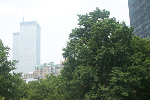Image of the WTC from the Battery Park area.